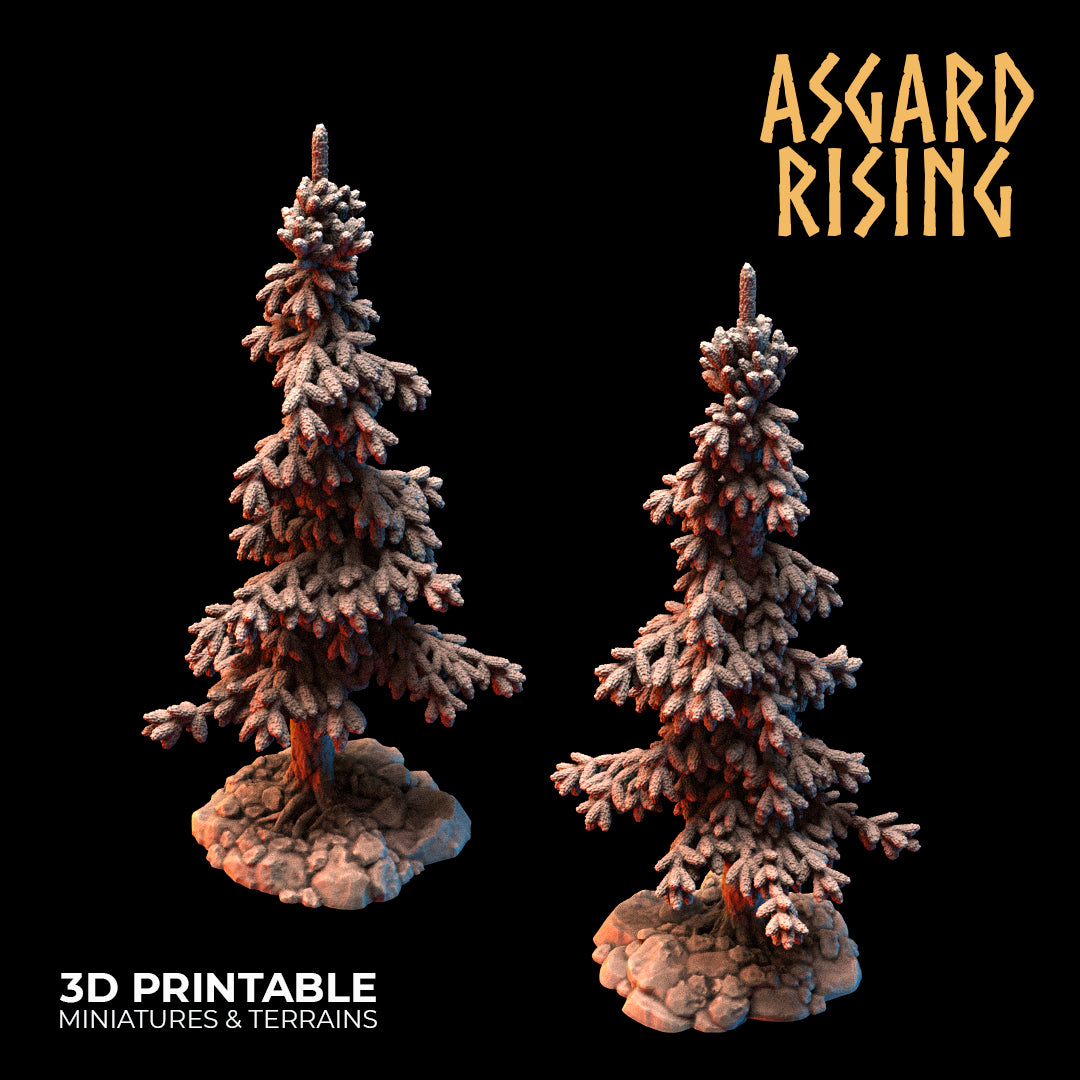 Coniferous Forest - Spruce Trees - Asgard Rising