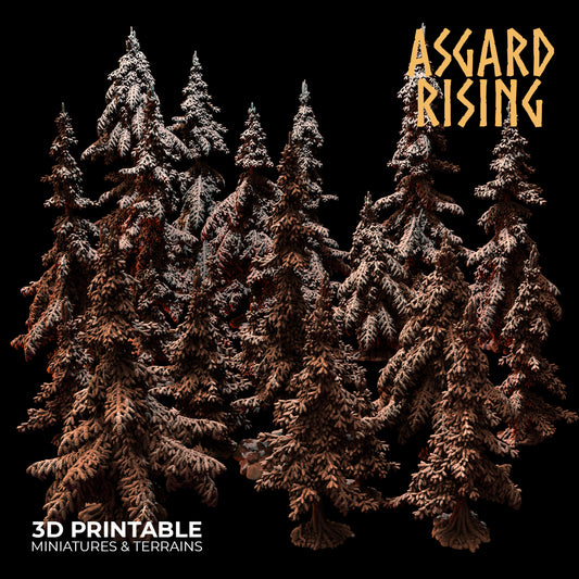 Coniferous Forest - Spruce Trees - Asgard Rising