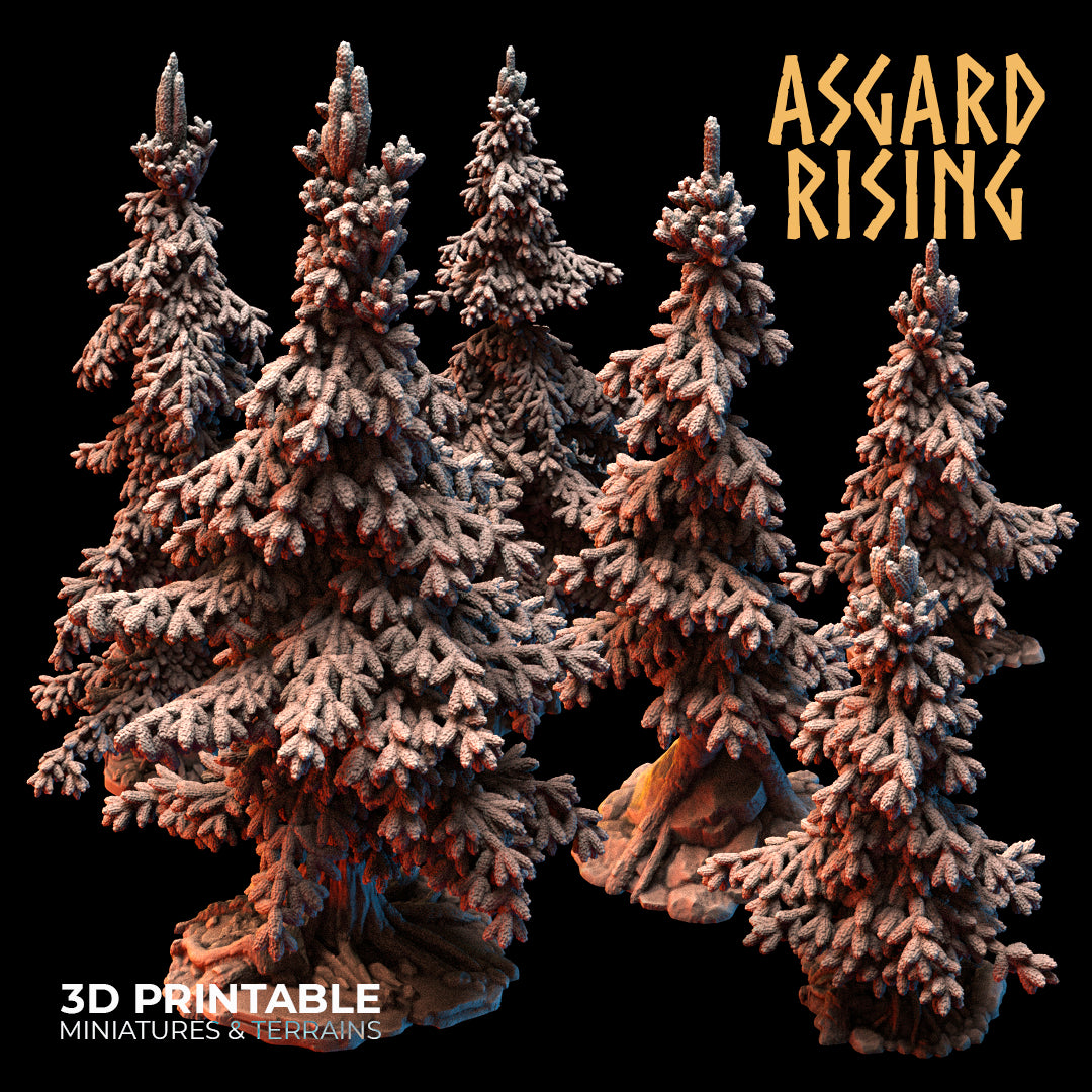 Coniferous Forest - Spruce Trees - Asgard Rising