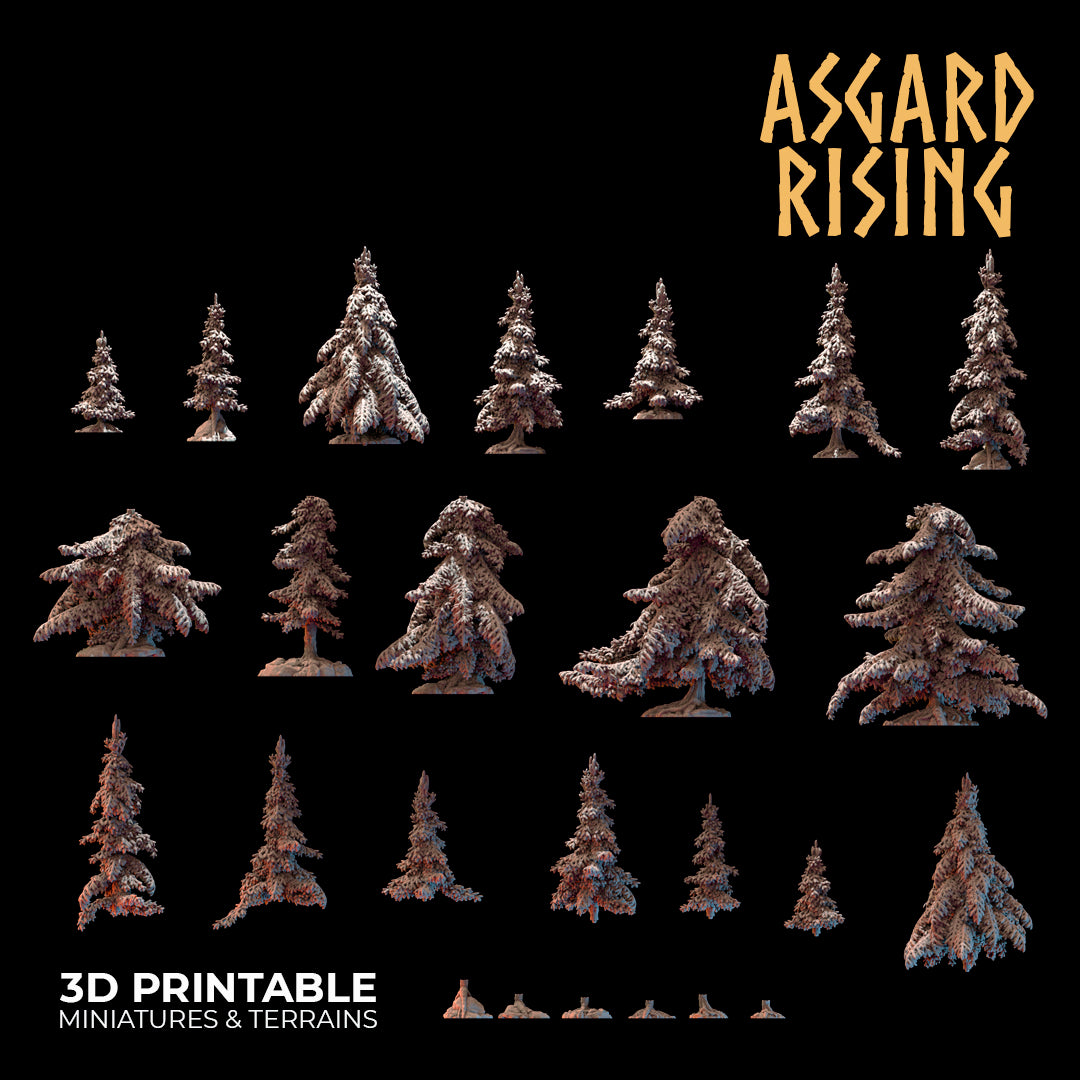 Coniferous Forest - Spruce Trees - Asgard Rising