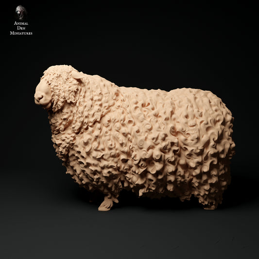 Devon and Cornwall Longwool Ram 2 - Animal Den Miniatures