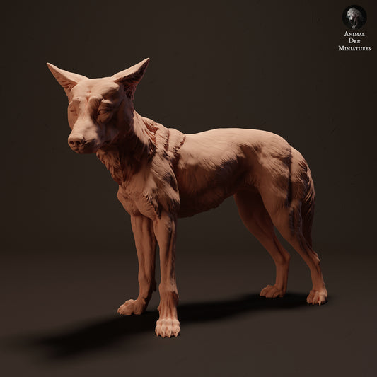 Dingo - Animal Den Miniatures