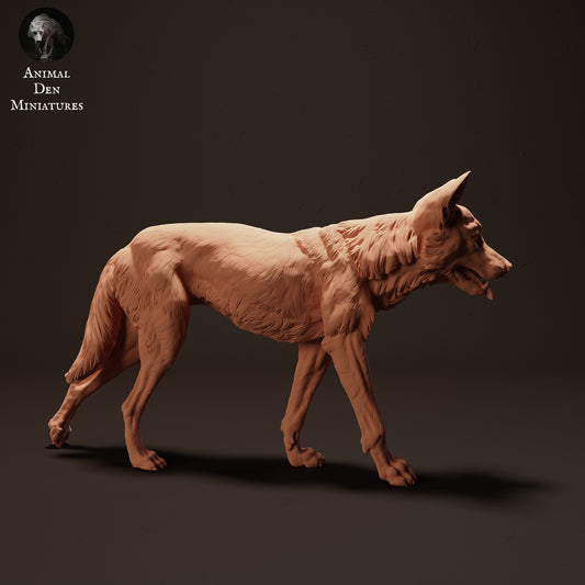 Dingo Walking - Animal Den Miniatures