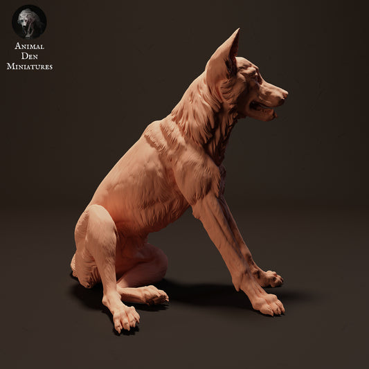 Dingo Sit - Animal Den Miniatures