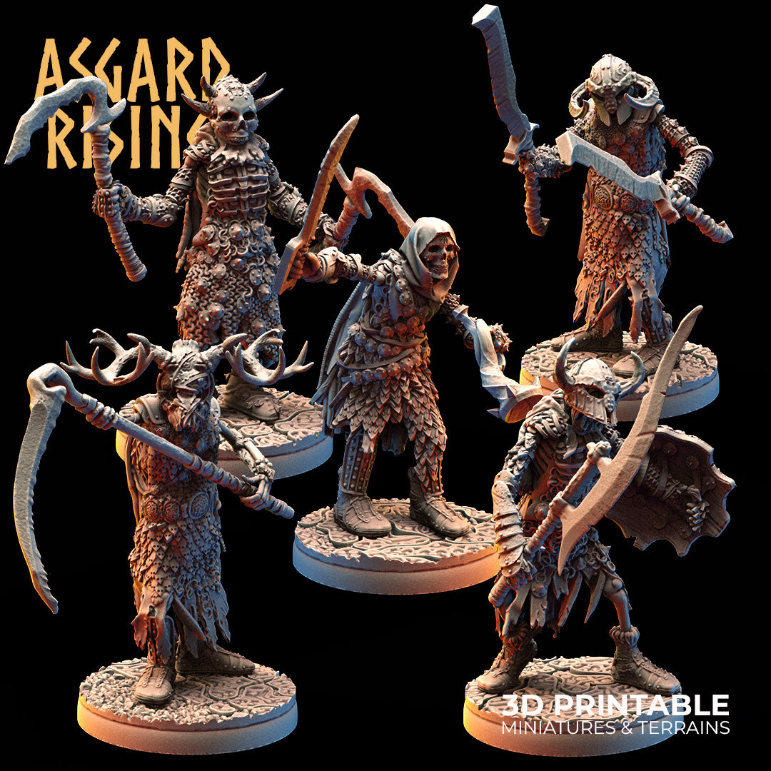 DRAUGR: Barrow Guards - Asgard Rising