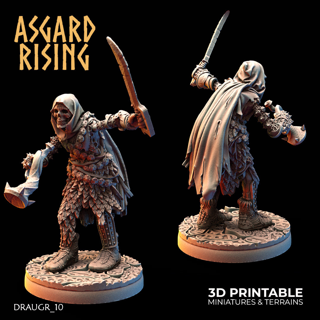 DRAUGR: Barrow Guards - Asgard Rising