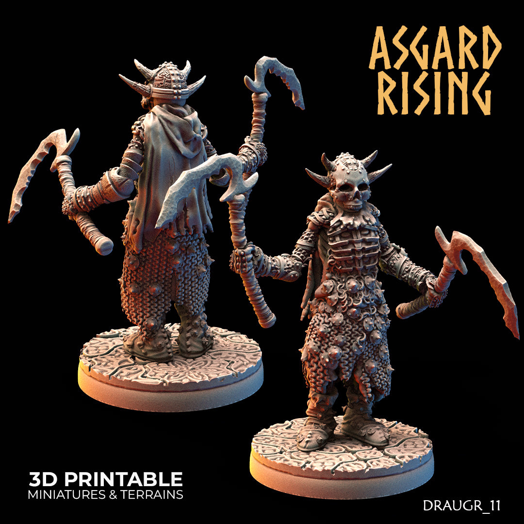 DRAUGR: Barrow Guards - Asgard Rising