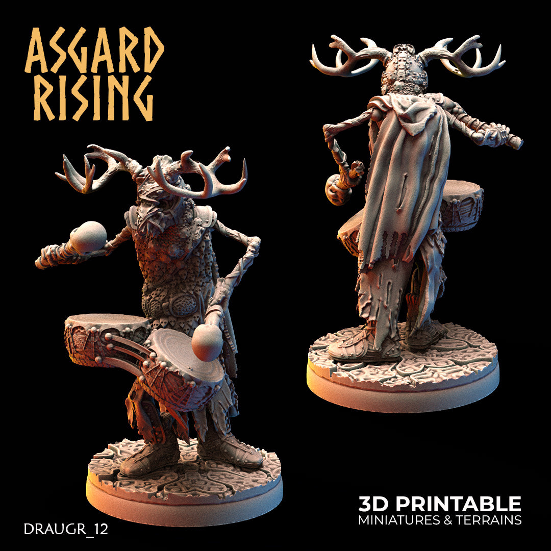 DRAUGR: Barrow Guards - Asgard Rising