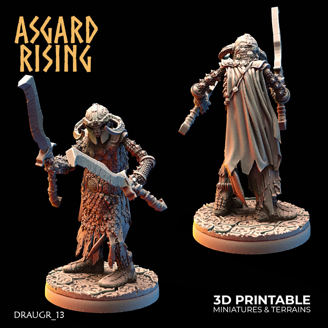 DRAUGR: Barrow Guards - Asgard Rising