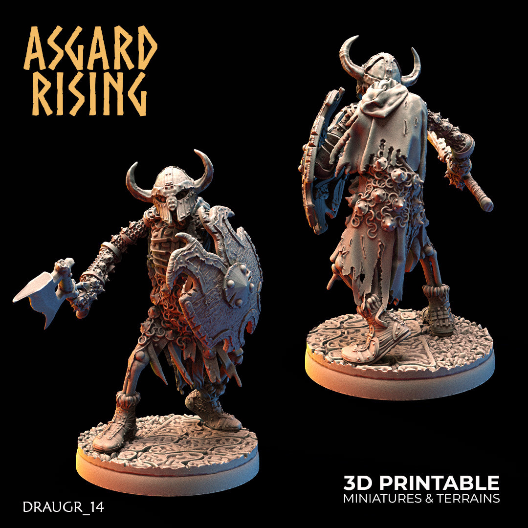 DRAUGR: Barrow Guards - Asgard Rising