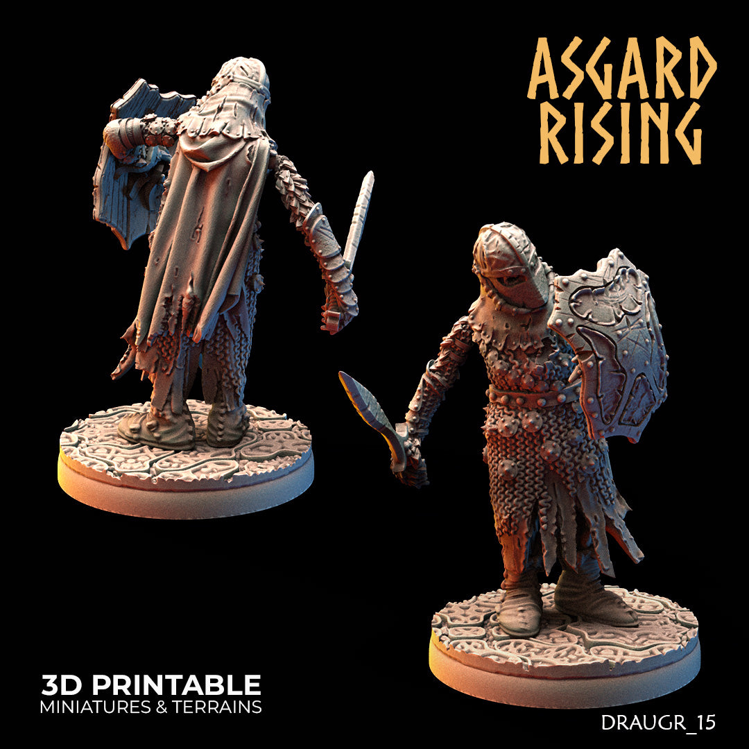 DRAUGR: Barrow Guards - Asgard Rising