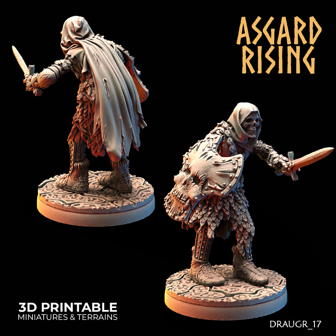 DRAUGR: Barrow Guards - Asgard Rising