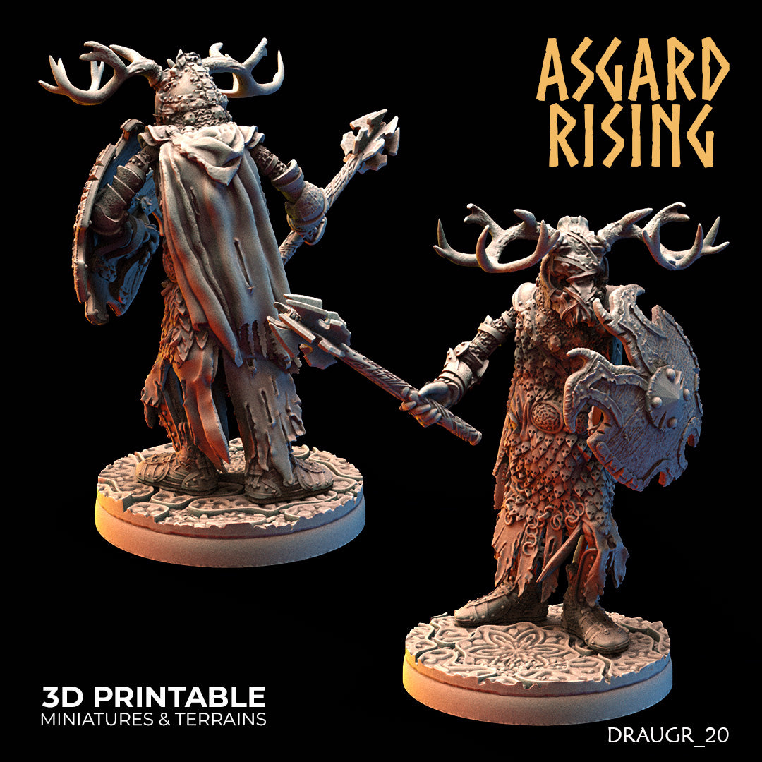 DRAUGR: Barrow Guards - Asgard Rising