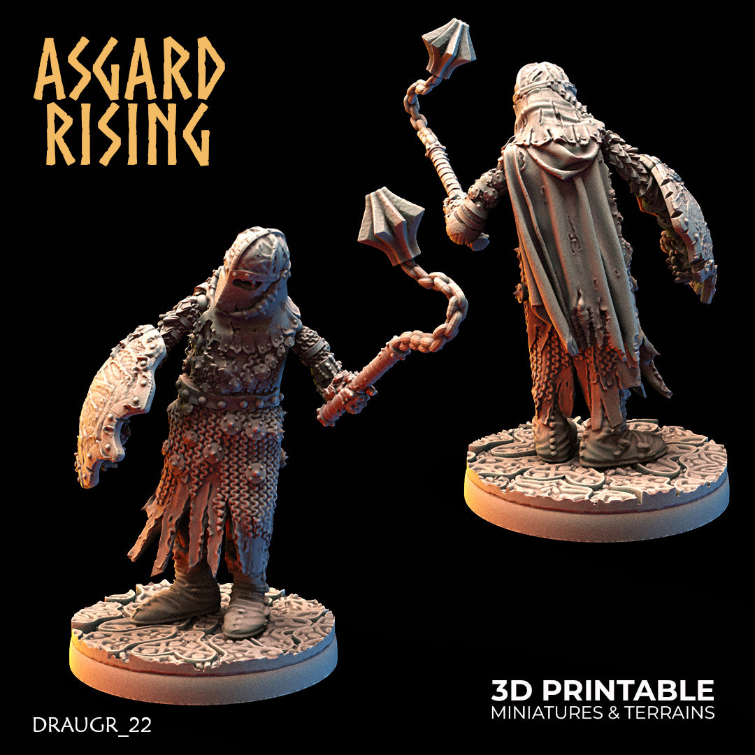 DRAUGR: Barrow Guards - Asgard Rising