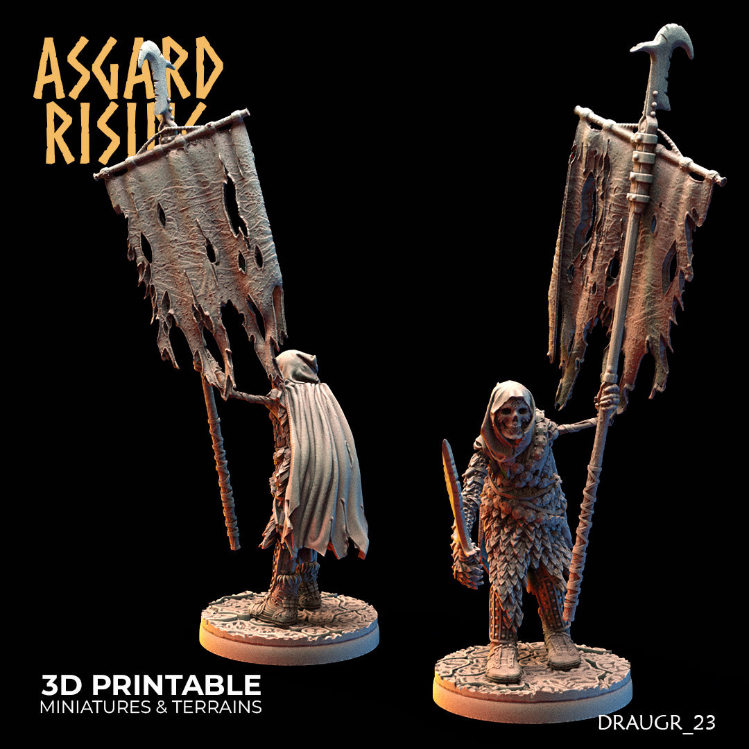 DRAUGR: Barrow Guards - Asgard Rising