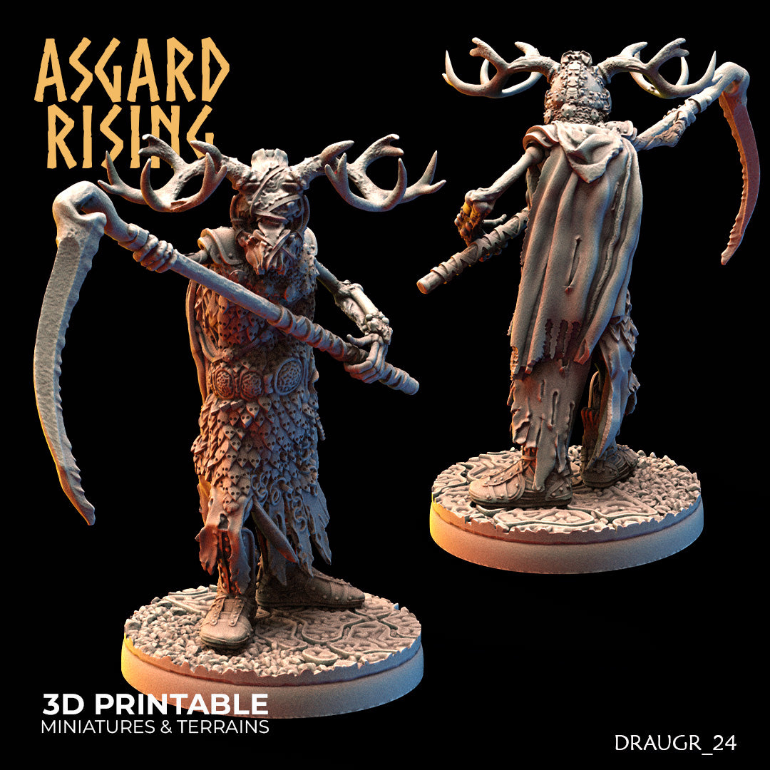 DRAUGR: Barrow Guards - Asgard Rising