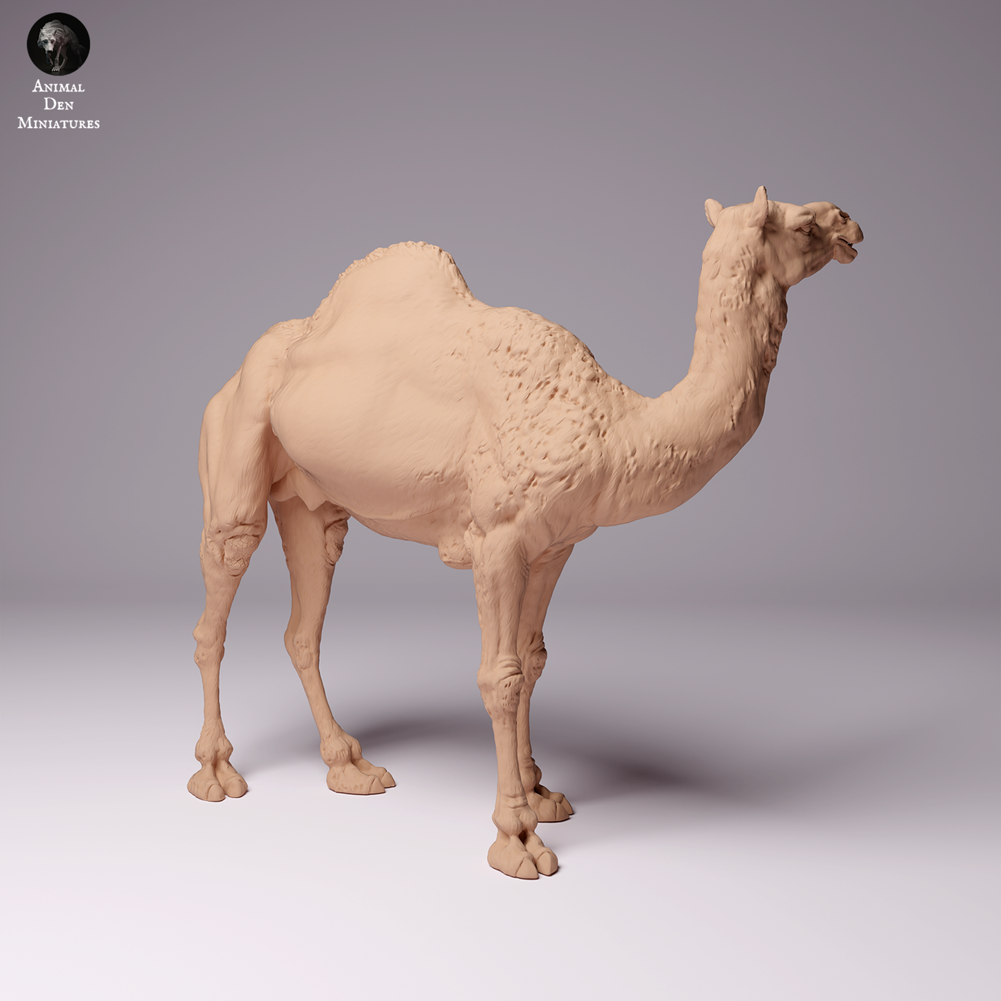 Dromedary Camel Male - Animal Den Miniatures