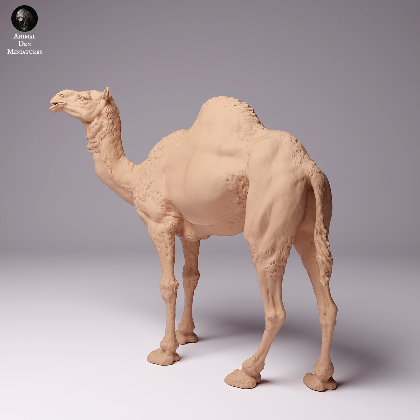 Dromedary Camel Male - Animal Den Miniatures