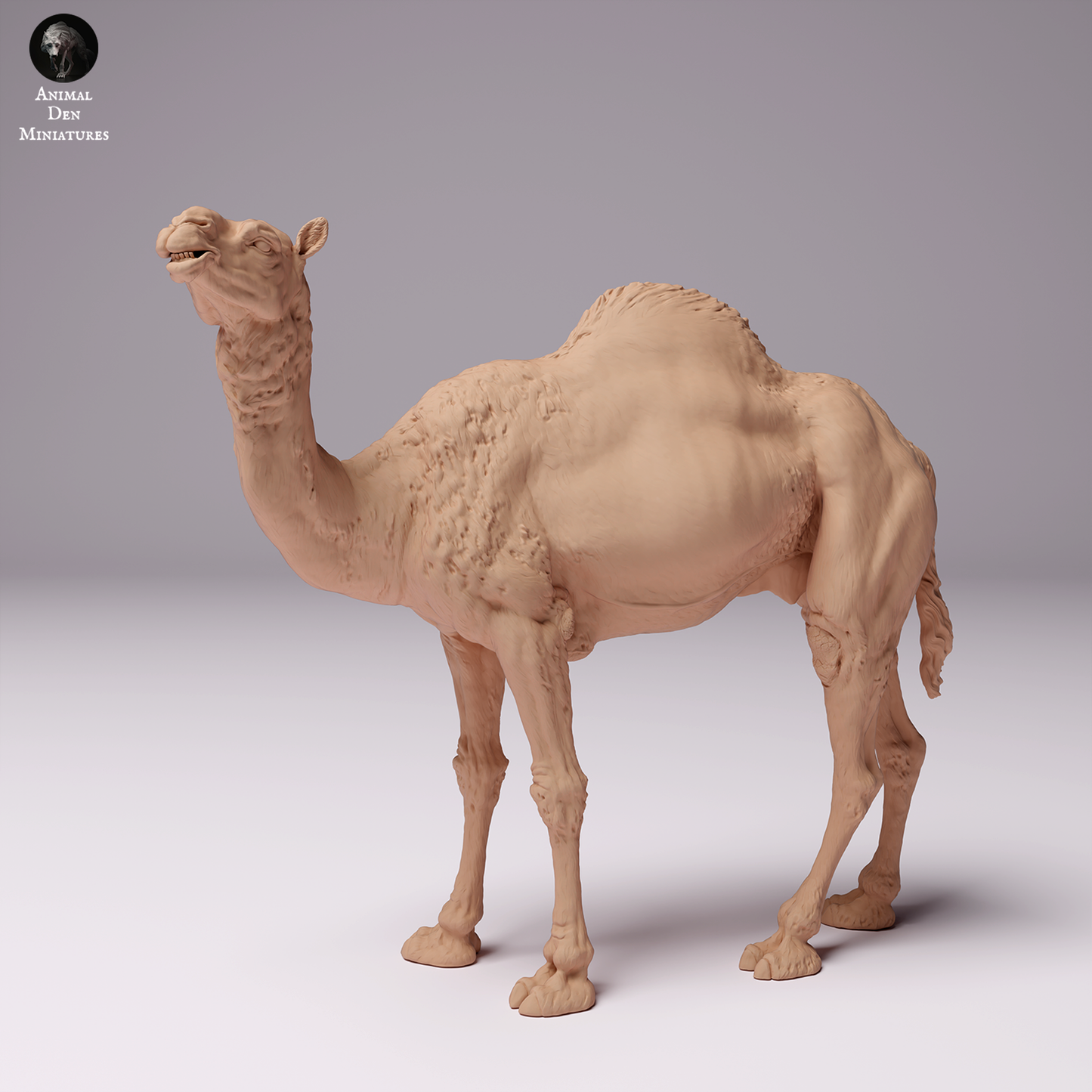 Dromedary Camel Male - Animal Den Miniatures