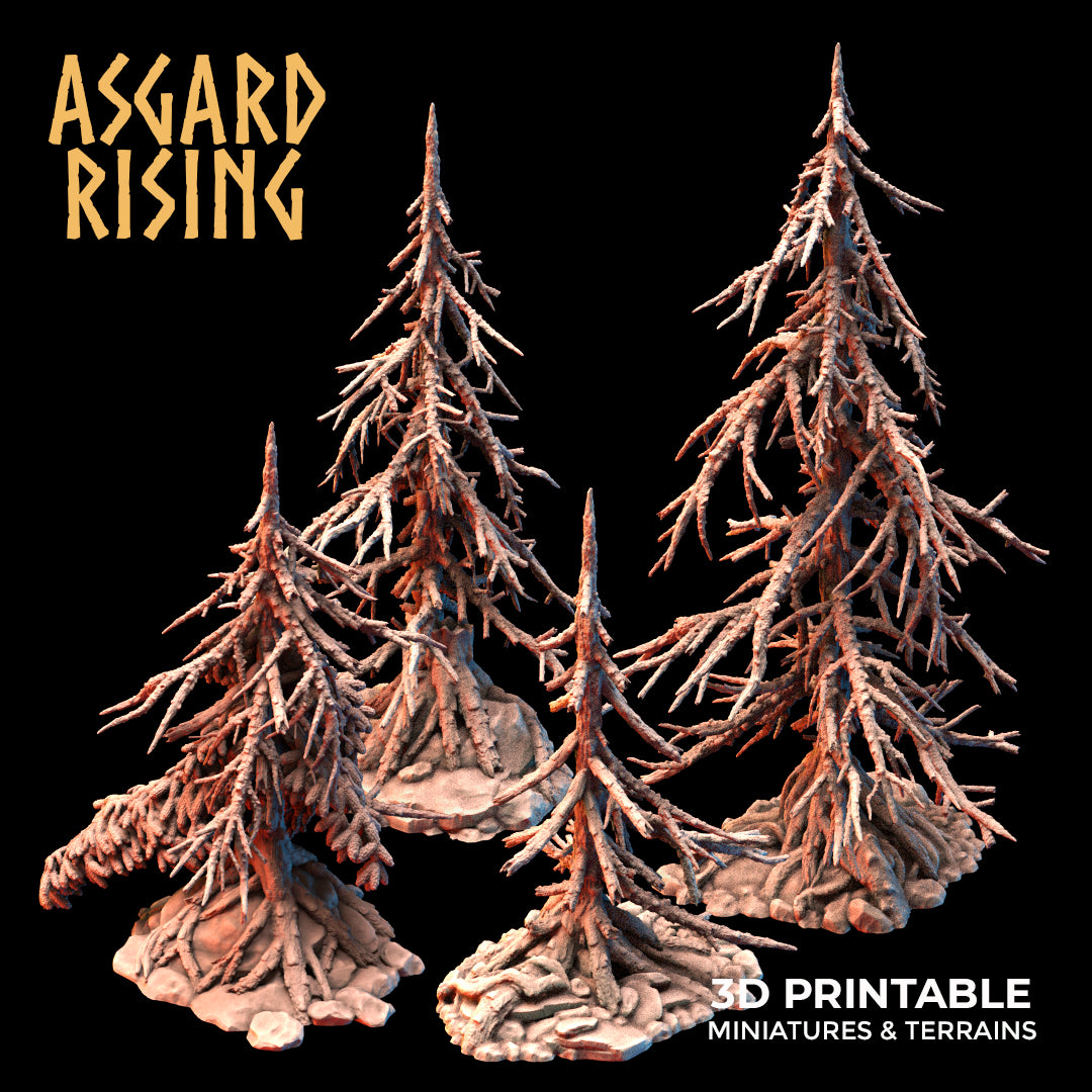 Coniferous Forest - Dry Spruce Trees - Asgard Rising