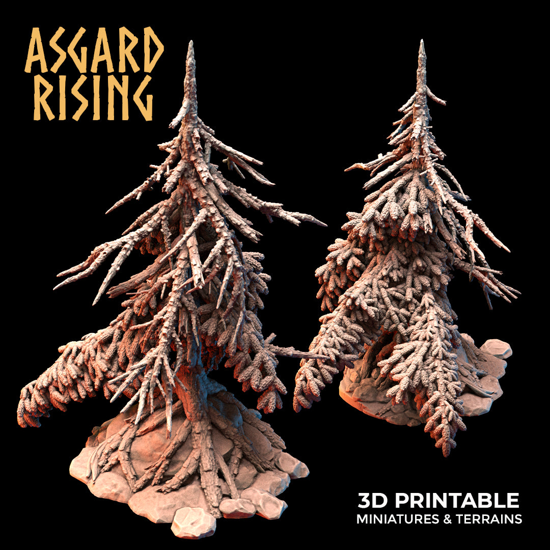 Coniferous Forest - Dry Spruce Trees - Asgard Rising