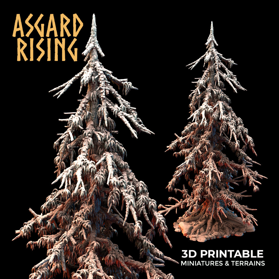 Coniferous Forest - Dry Spruce Trees - Asgard Rising