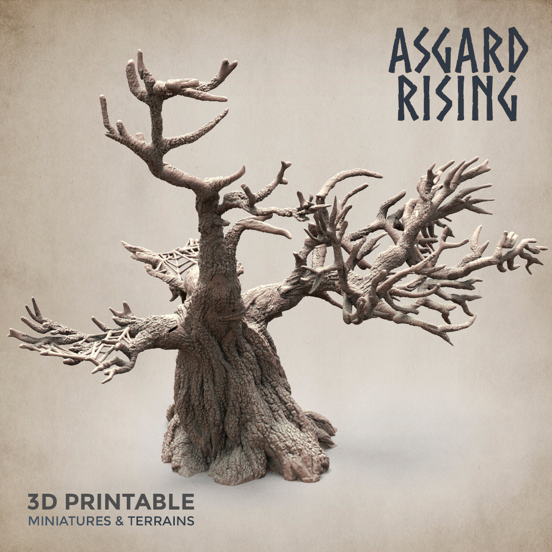 Dry Spider Forest - Asgard Rising