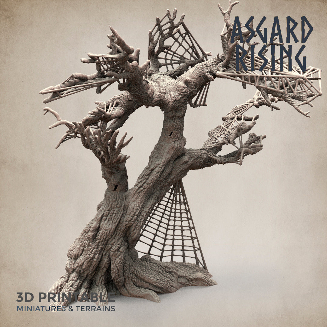 Dry Spider Forest - Asgard Rising