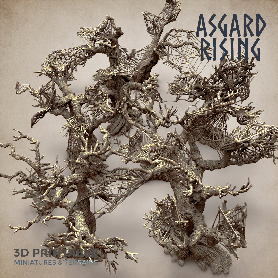 Dry Spider Forest - Asgard Rising