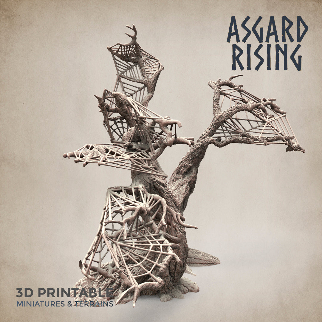 Dry Spider Forest - Asgard Rising