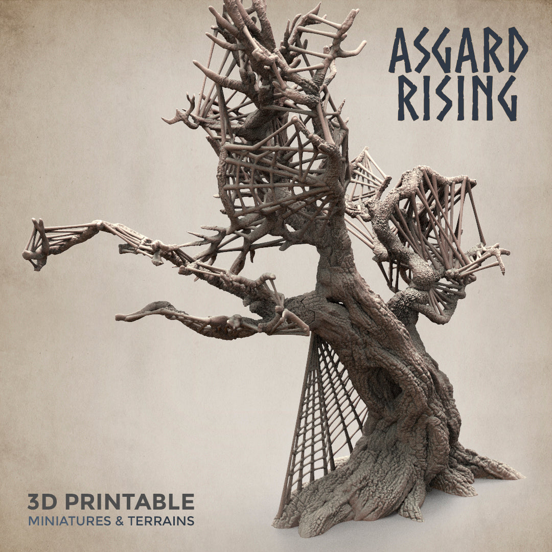 Dry Spider Forest - Asgard Rising