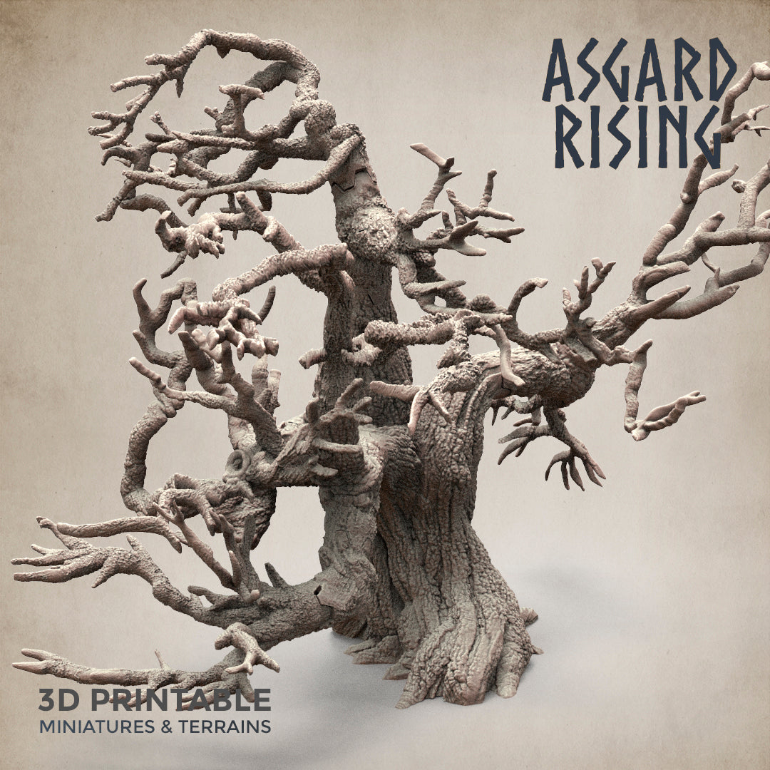 Dry Spider Forest - Asgard Rising