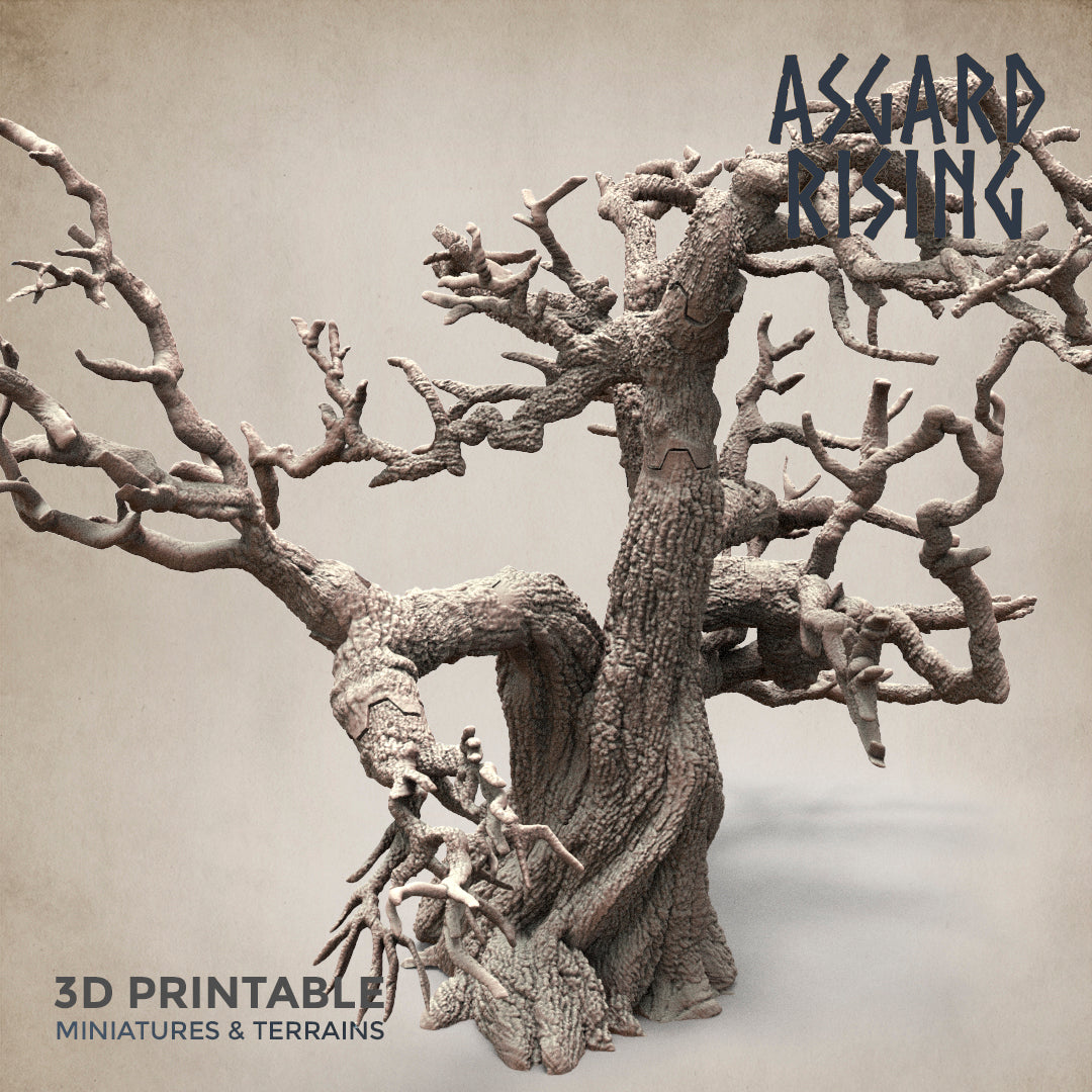 Dry Spider Forest - Asgard Rising