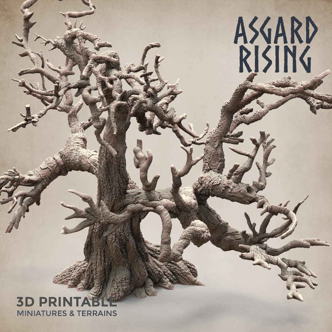 Dry Spider Forest - Asgard Rising