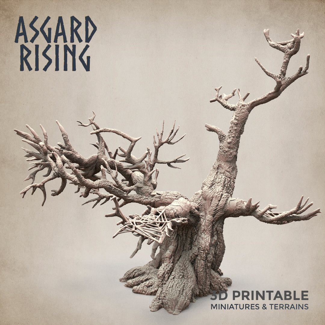 Dry Spider Forest - Asgard Rising