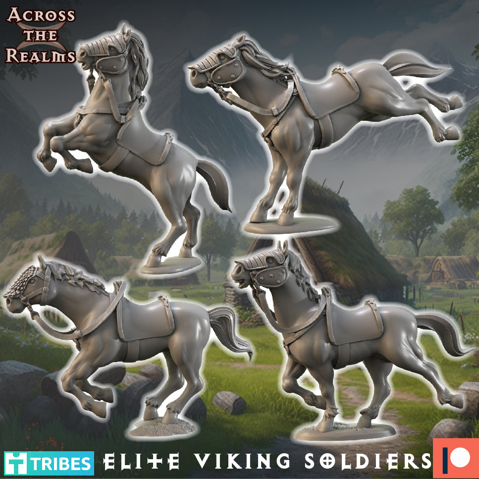 Elite Viking Soldiers - Across the Realms