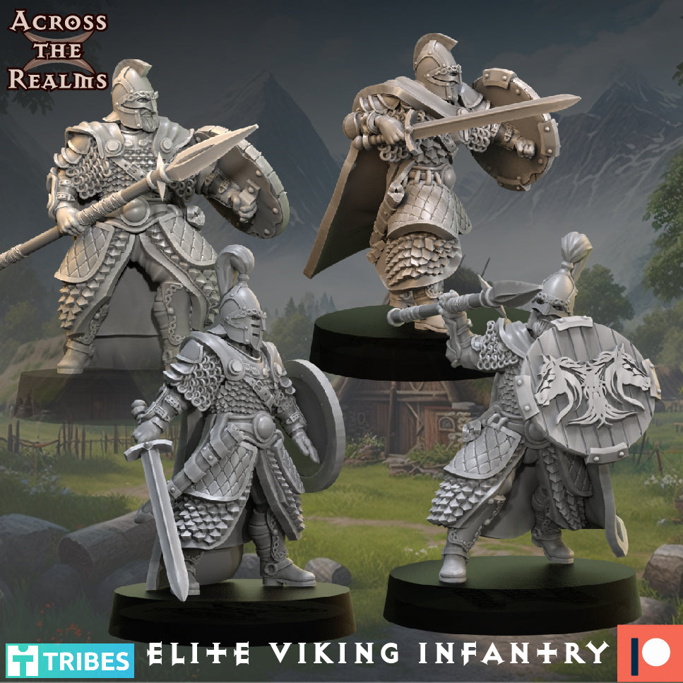 Elite Viking Soldiers - Across the Realms