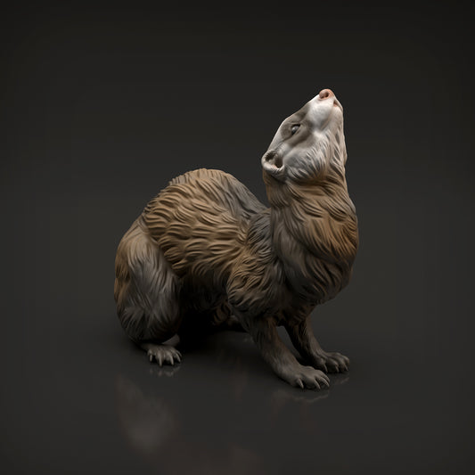 Ferret - Animal Den Miniatures