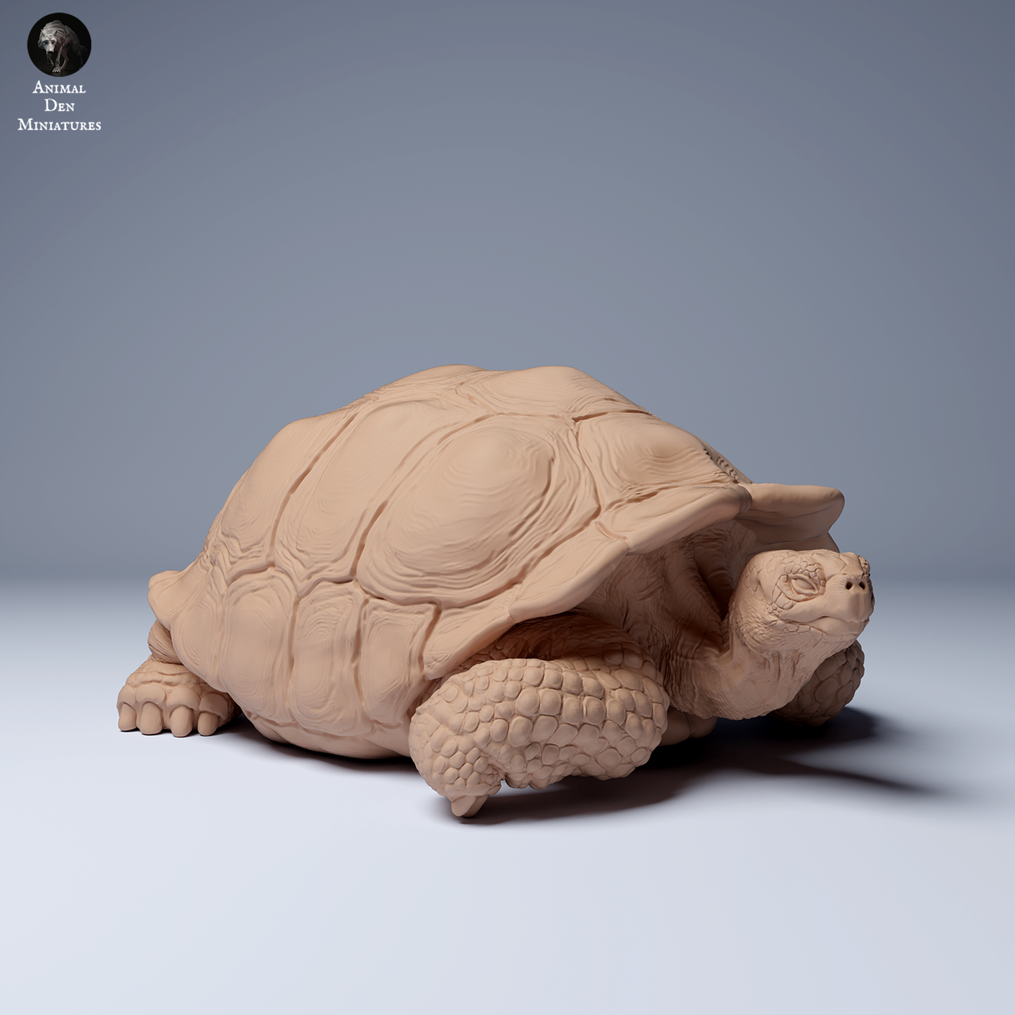 Galápagos giant tortoise Lying - Animal Den Miniatures