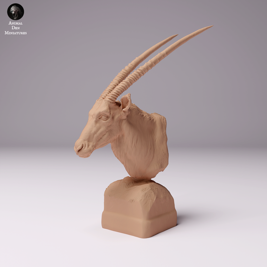 Gemsbok Bust - Animal Den Miniatures