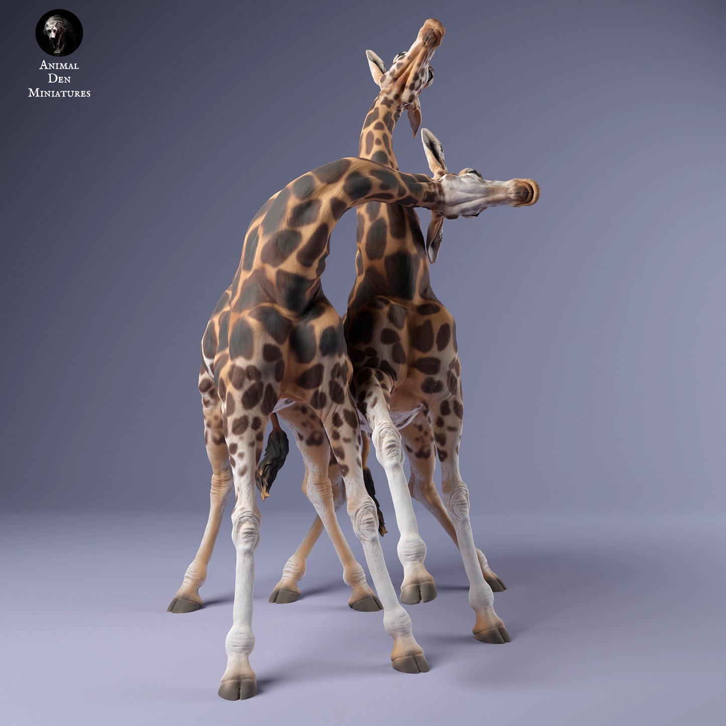 Rothschild's Giraffe Males Fight - Animal Den Miniatures