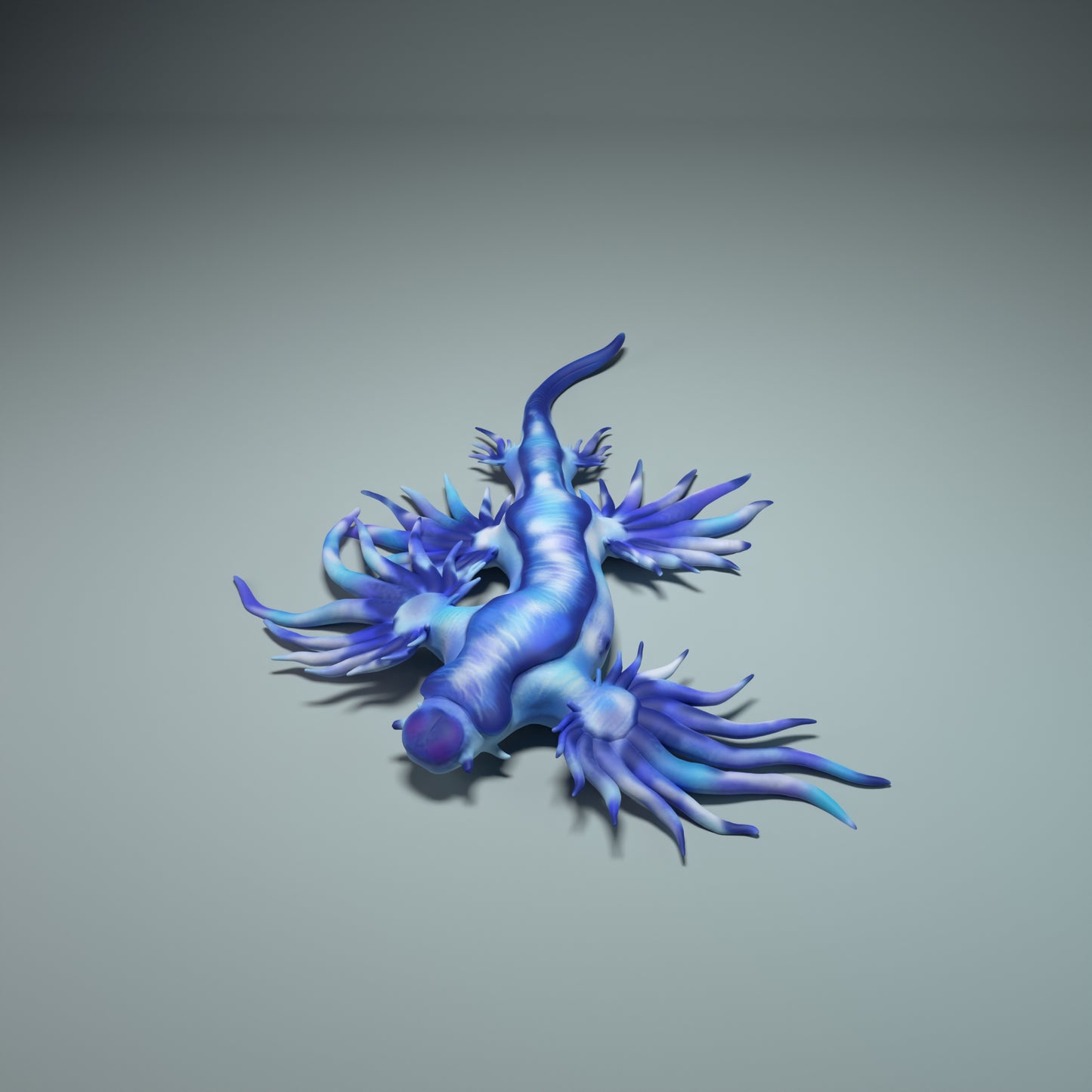 Glaucus atlanticus - Animal Den Miniatures