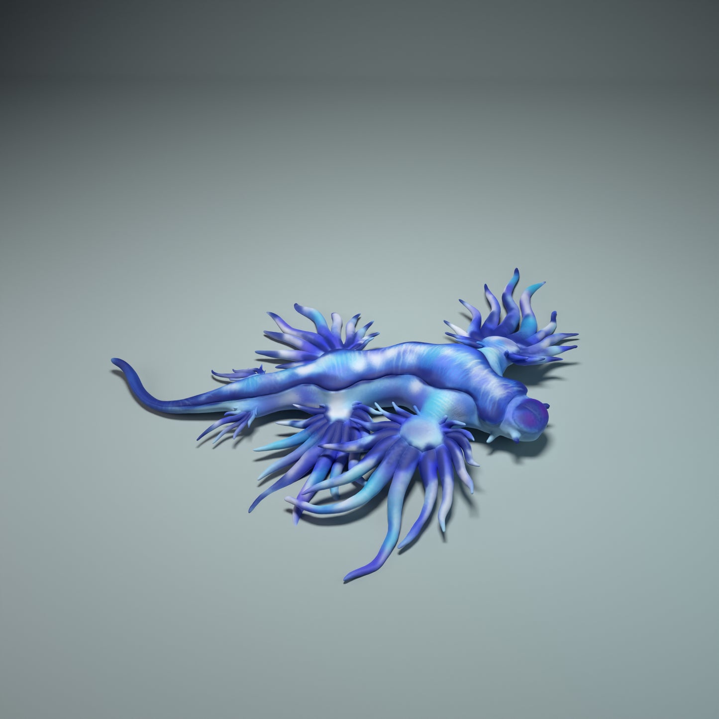 Glaucus atlanticus - Animal Den Miniatures