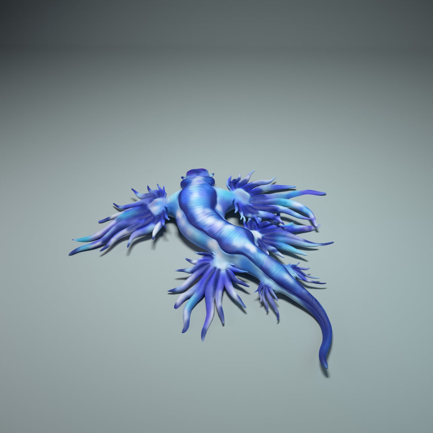 Glaucus atlanticus - Animal Den Miniatures