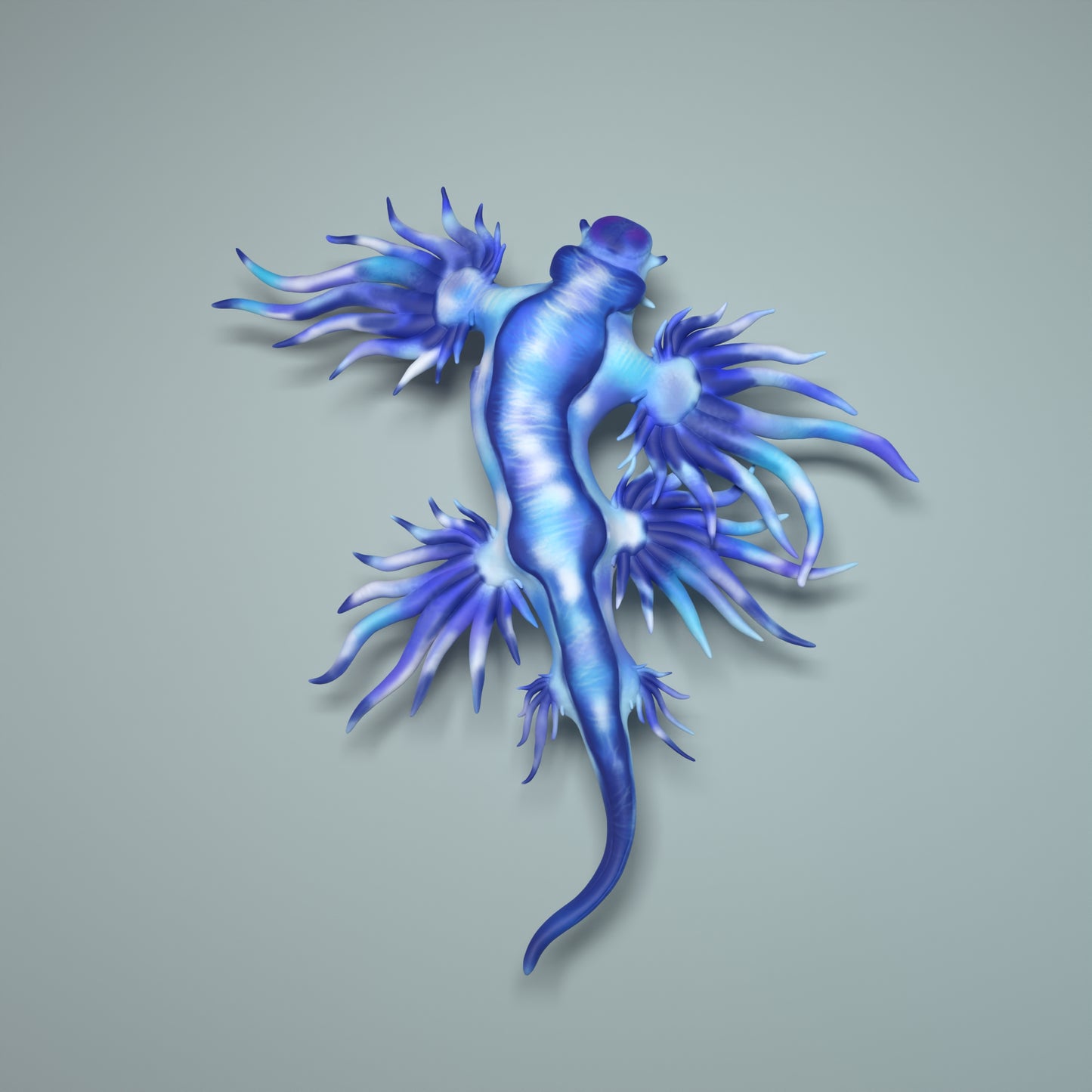 Glaucus atlanticus - Animal Den Miniatures