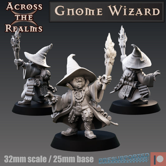 1x Gnome Wizard - Across the Realms