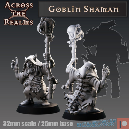 1x Goblin Shaman - Across the Realms