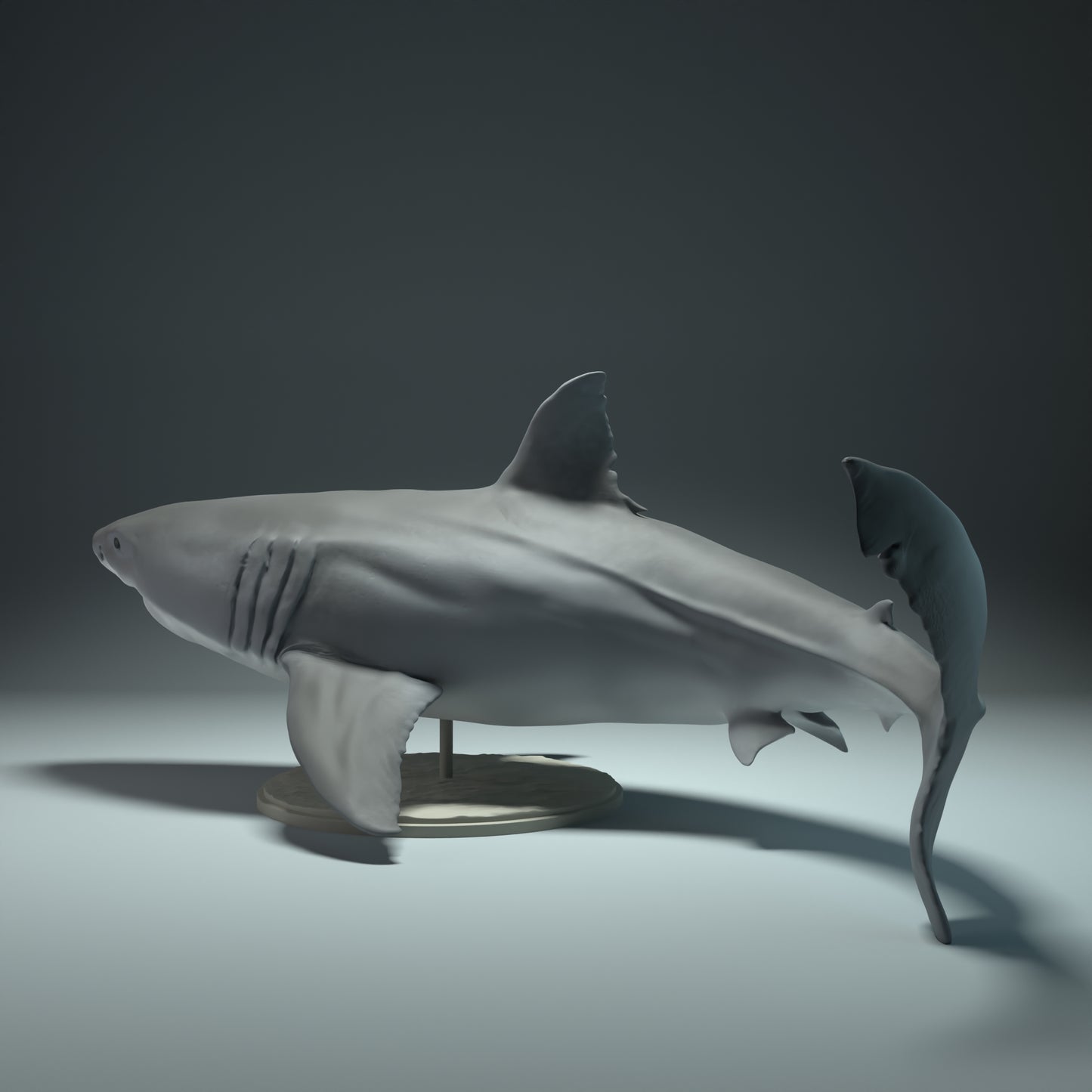 Great White Shark - Animal Den Miniatures