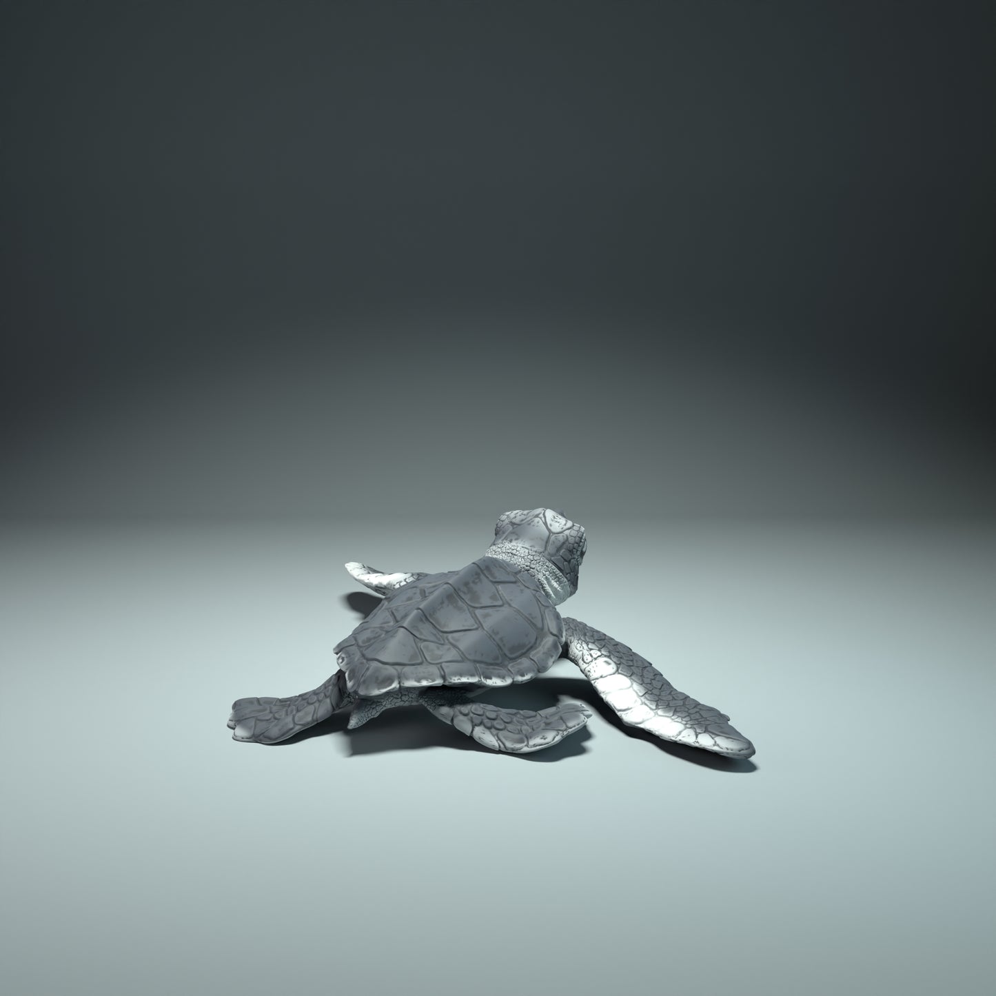 Sea Turtle Hatchling - Animal Den Miniatures