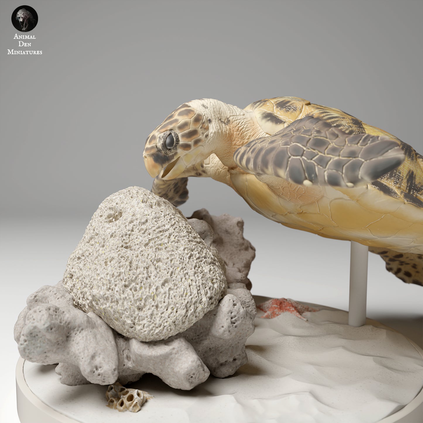 Hawksbill Sea Turtle Feed - Animal Den Miniatures